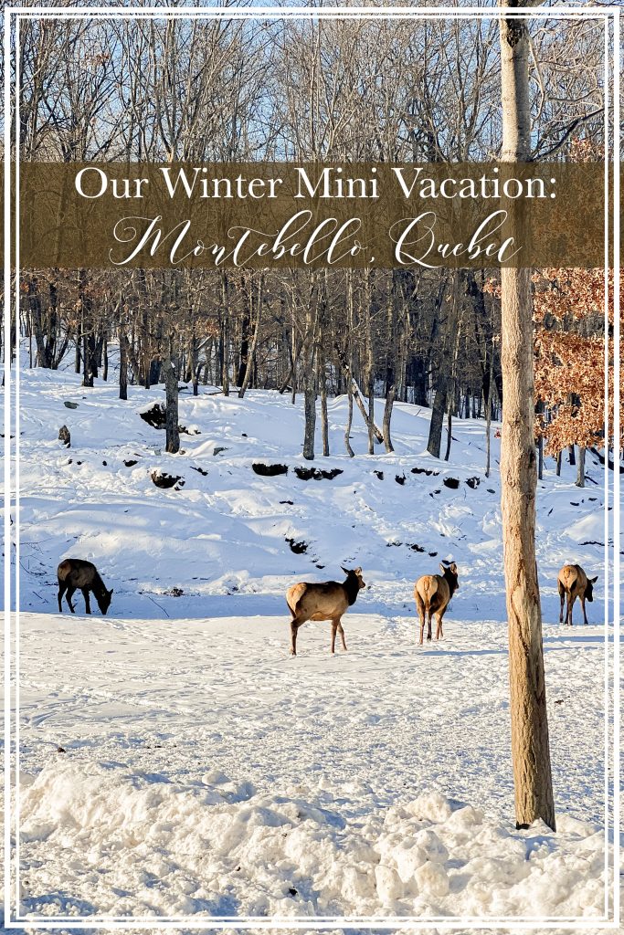 It’s time for a winter mini vacation! Our wintery escape to Montebello, Quebec was absolutely fabulous - from staying at the Fairmont Le Château Montebello to visiting our furry friends at Parc Omega. Join our family on our latest adventure!