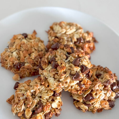 Craving a wholesome yet tasty snack? Our One Bowl Granola Cookies are here to satisfy your sweet tooth and keep you feeling good! Packed with nutritious ingredients, these cookies make healthy snacking a delight.