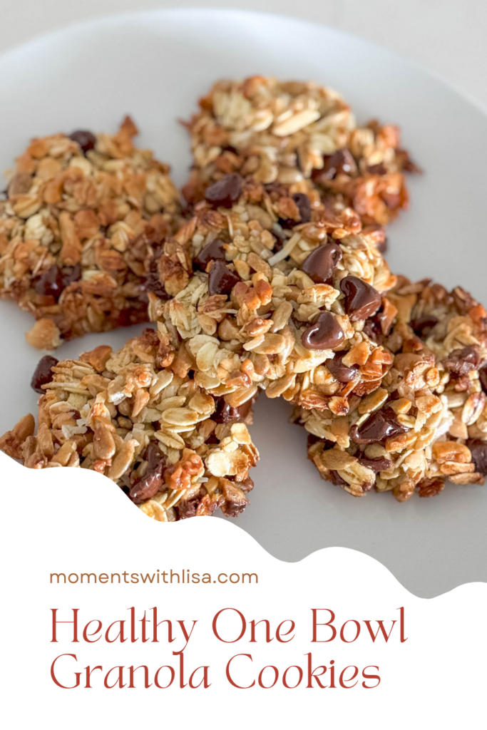 Craving a wholesome yet tasty snack? Our One Bowl Granola Cookies are here to satisfy your sweet tooth and keep you feeling good! Packed with nutritious ingredients, these cookies make healthy snacking a delight.