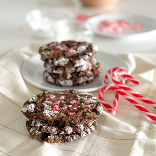 Close up of homemade chocolate crinkle cookies