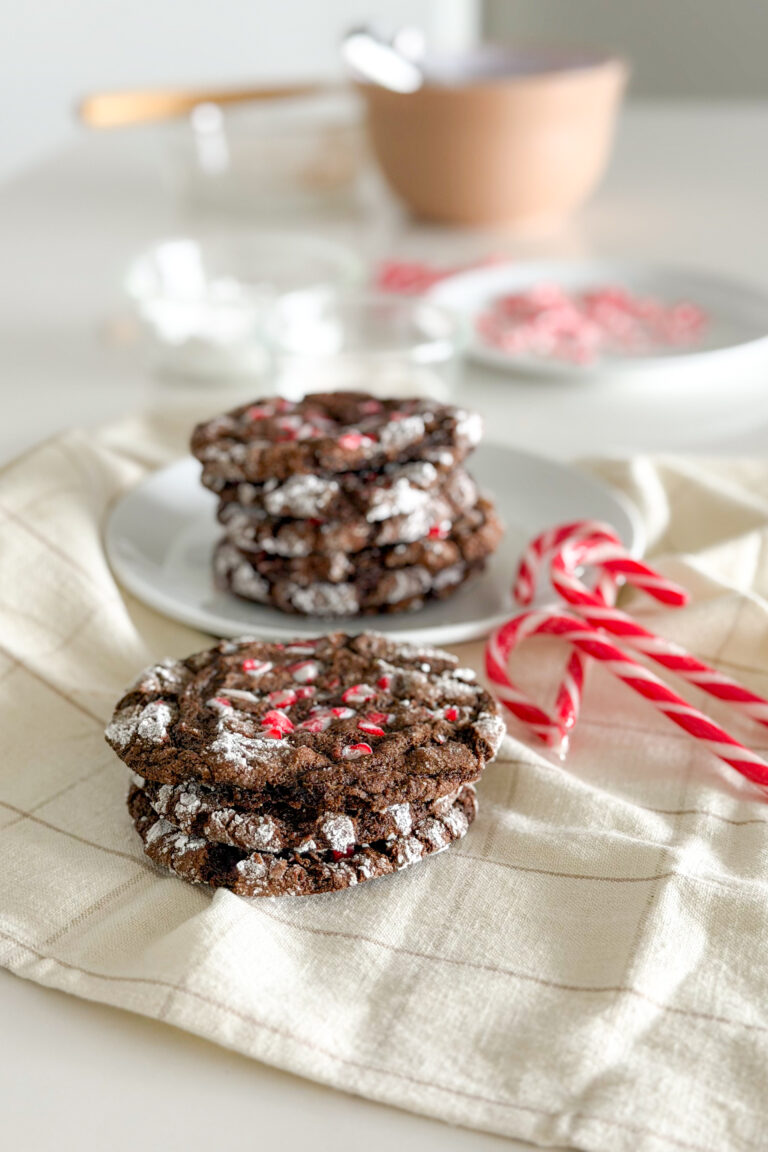 Close up of homemade chocolate crinkle cookies